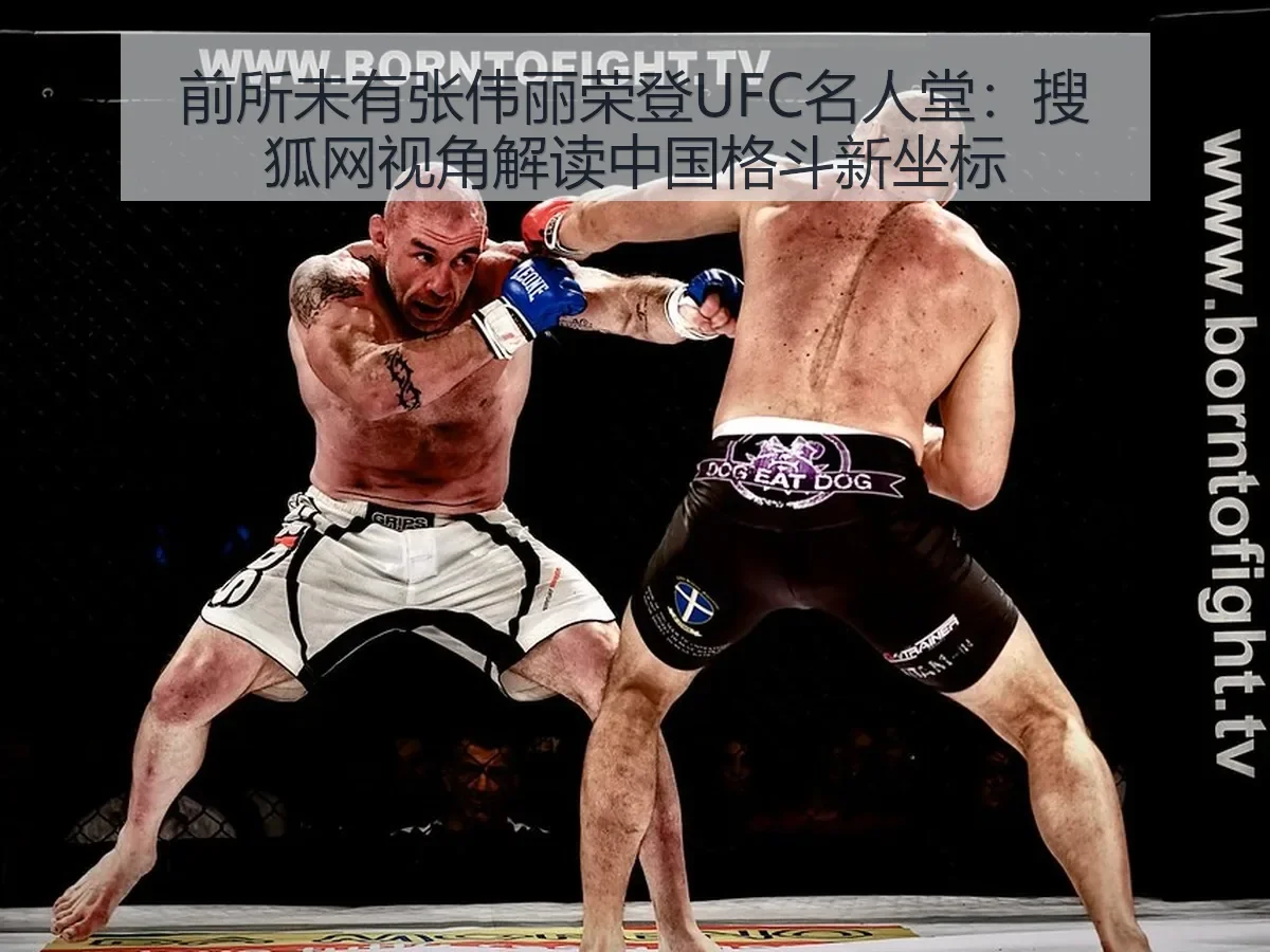 前所未有张伟丽荣登UFC名人堂：视角解读中国格斗新坐标